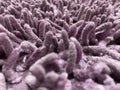 close up fluffy purple doormats or foot mat fabric texture. usually placed on the floor Royalty Free Stock Photo