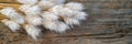Close-up of fluffy white dried grass against rustic wooden background Royalty Free Stock Photo