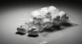Close up of fluffy white popcorn kernels in black and white dramatic lighting Royalty Free Stock Photo
