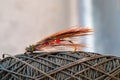 Close-up of a Fly Fishing Lure Royalty Free Stock Photo