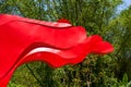 Close-up of flying five-star red flag sculpture Royalty Free Stock Photo