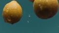 Close up of flying fresh lemons with drops of water isolated on blue background. Stock footage. Concept of vitamin C and Royalty Free Stock Photo