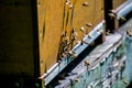 Close up of flying swarm of bees on a nice sunny day. Wooden beehive and bees (beekeeper at work, bees in flight)