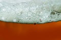 Close up of foamy beer in a glass