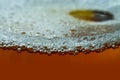 Close up of foamy beer in a glass