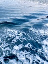 Close up of ocean water creating wakes and waves behind a ferry boat in the Pacific Ocean