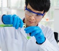 Close Up and focus to asian scientist man hand wearing eyeglass hold and look at test tube bottle as green liquid poured off the