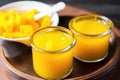 close-up with focus on vibrant mango pulp in juice