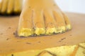 Foot gold buddha statue in temple thailand focus foot Royalty Free Stock Photo