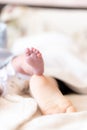 Close-up of the foot of a newborn baby and a one-year-old baby. Feet of infants of different ages sleeping. Foot of a Royalty Free Stock Photo