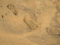 Close-up foot print on orange sandy beach