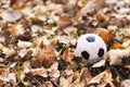 Close-up football soccer black and white ball buried in fallen yellow autumn leaves. Game time. football season