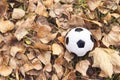 Close-up football soccer black and white ball buried in fallen yellow autumn leaves. Game time. football season Royalty Free Stock Photo