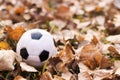 Close-up football soccer black and white ball buried in fallen yellow autumn leaves. Game time. football season