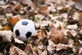 Close-up football soccer black and white ball buried in fallen yellow autumn leaves. Game time. football season