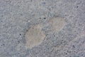 Close up footprint on asphalt abstract background Royalty Free Stock Photo