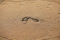 Close-up footprint in sandy beach. Barefoot trail, step track on sand texture. Bare human feet on wet sand, top view.