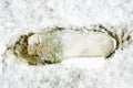 Close up of footprint on snow on green grass. Footstep on snow on green grass.