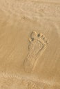 Close up of footprints on the beach.