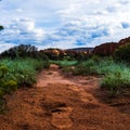Close-up of footprints in the red sand on the trail in Arizona, the United States Royalty Free Stock Photo