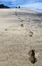 Footprints in the sand. Walking on the beach. Royalty Free Stock Photo