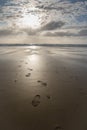 Close up on footsteps on sandy ground in beautiful golden sunset on biscarrosse beach, france