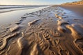 close-up of footprints in wet beach sand Royalty Free Stock Photo