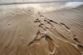 close-up of footprints in wet beach sand Royalty Free Stock Photo