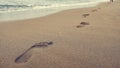 Close up of footprints in wet sand on the beach at sunset Royalty Free Stock Photo