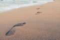 Close up of footprints in wet sand on the beach at sunset Royalty Free Stock Photo