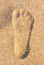 Close up of footstep in sandy on the beach