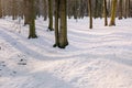 Close up of footsteps in snow Royalty Free Stock Photo