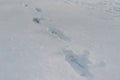 Close up of footsteps in snow Royalty Free Stock Photo