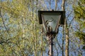Close-up forged lantern on a spring day in parkland. Iron street lamp. Royalty Free Stock Photo
