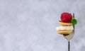 Close-up fork with tiny pancakes, banana slice, raspberry and mint leaf