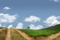 Close-up of forked road by grass field Royalty Free Stock Photo