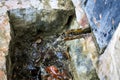 close up of a fountain where across a half pipe flows fresh spring water from a natural source. The water jet falls in a small Royalty Free Stock Photo