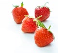 Close-up of four fresh vibrant strawberries