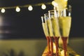 Close up of four glasses with champagne or wine the night of the new year ready to celebrate it - night and dark background Royalty Free Stock Photo