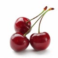 Close-up of four juicy red cherries with stems, isolated on a white background. Royalty Free Stock Photo