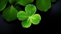A close up of a four leaf clover with water droplets on it, AI Royalty Free Stock Photo