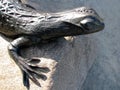 Close up fragment of bronze lizard sculpture on the big stone