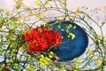 Close -up fragment of flower arrangement. ikebana. Royalty Free Stock Photo