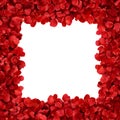 Close-up of a frame made of red rose petals and blooms on a white background, featuring an empty rectangular space for text, Royalty Free Stock Photo