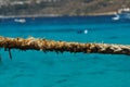 Close up of frayed rope at the Blue Lagoon, Comino, Malta