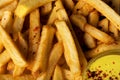 Close-up of French fries with cheese sauce and spices