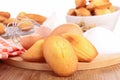 French homemade madeleine