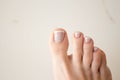 Close-up French pedicure on beautiful female legs. Neat nails after a pedicure procedure on a white background. Space Royalty Free Stock Photo