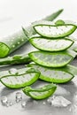 Close up of fresh aloe vera leaves with droplets vibrant green, moist and full of life
