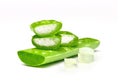 Close-up Fresh Aloe vera sliced with cube gel